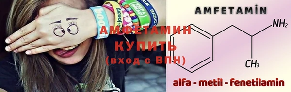 амф Богданович