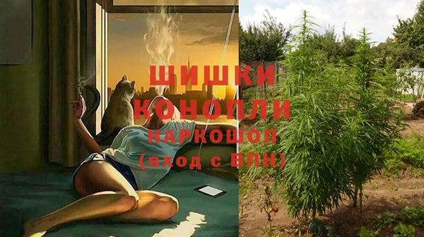 амф Богданович