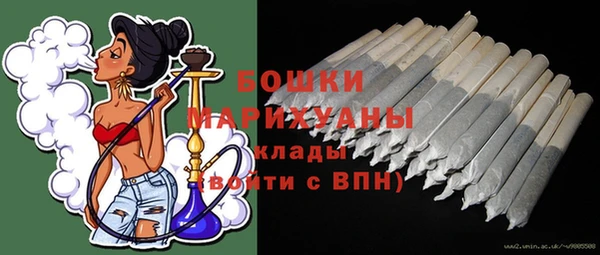 амф Богданович
